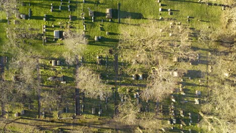 Slow-Aerial-Flight-over-Large-Cemetery