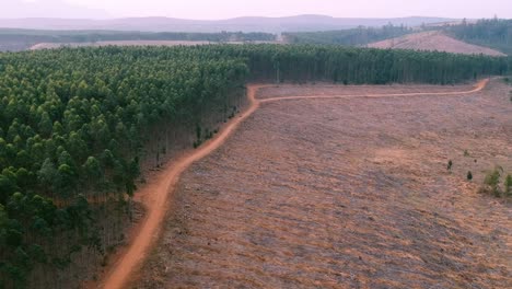Aerial-view-of-deforestation-line