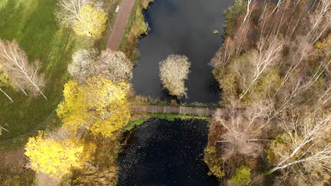 Aerial-top-down-of-urban-pond-in-park-with-autumn-winter-dead-trees-around