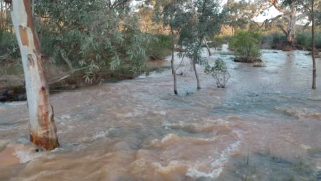 Fast-running-water-in-a-flooded-creek