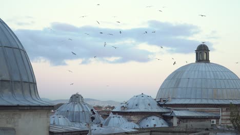 Pájaros-Volando-Por-Encima-De-Los-Tejados-Del-Casco-Antiguo-De-La-Famosa-Mezquita-En-Estambul