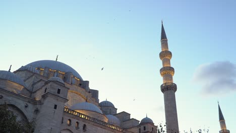 Birds-Flying-Above-Old-Süleymaniye-Mosque-in-Istanbul-during-Sunset