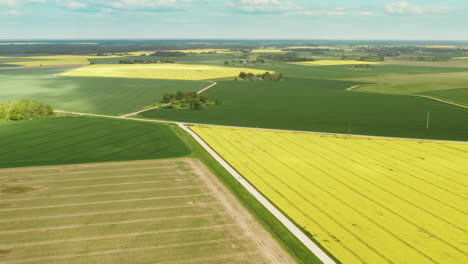 Aerial-view-of-agriculture-fields
