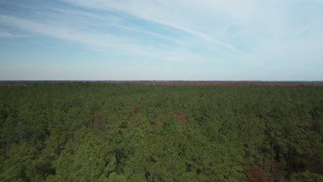 Vast-forestry-landscape-wide-aerial-tracking-backward