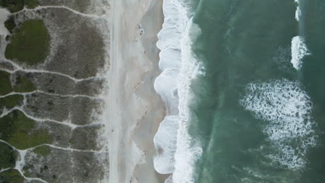Aerial-looking-directly-down-on-lapping-waves-on-shoreline-of-Wrightsville-Beach,-North-Carolina