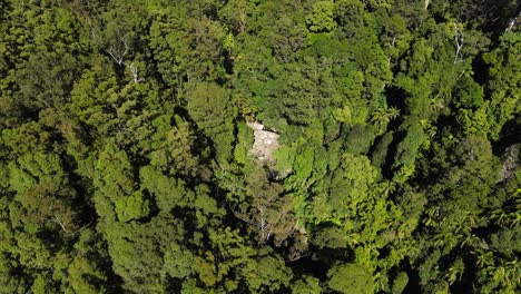 Lush-green-forest-wilderness---Mount-Cougal-Currumbin-Valley-Australia---Aerial