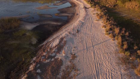 Aerial-tracking-shot-of-woman-walking-on-sandy-beach-beside-rural-lake-during-beautiful-golden-sunset-light---Laguna-Negra-in-Uruguay,South-America