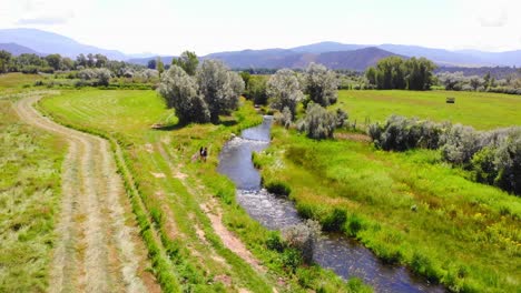 Two-People-Fishing-In-Small-Water-Creek-River-In-Vibrant-Colorado-Countryside-Mountain-Valley