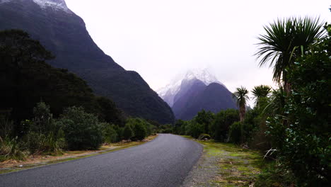 Asphalt-road-leading-through-exotic-forest-and-mountain-range-in-New-Zealand