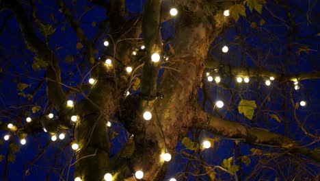 Nachts-Zu-Sanft-Leuchtenden-Lichtern-Aufblicken,-Die-Um-Den-Kahlen-Winterbaum-Gewickelt-Sind