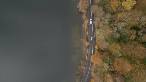 Moving-Drone-Shot-Of-Colourful-Sunny-Autumn-Scene-Following-Cars-Next-To-Lake-Windermere-Ambleside-Cumbria