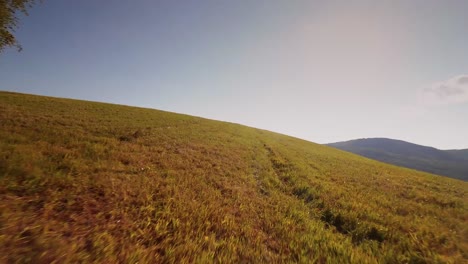 Cinematic-aerial-drone-footage-of-a-lone-tree-on-a-hill