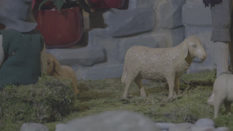 Schafe-Auf-Dem-Weg-Zum-Christkind-In-Einer-Krippe