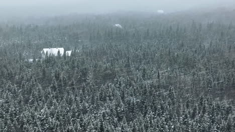 Heavy-Snowfall-With-Coniferous-Forest-At-Countryside-Village-During-Winter