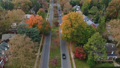 Cars-driving-on-two-lane-street-in-a-suburban-residential-area,-tree-alley-in-colourful-autumn-foliage,-fancy-housing-in-luxurious-neighbourhood