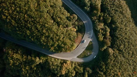 Roadtrip-Durch-Einen-Herbstfarbenen-Wald