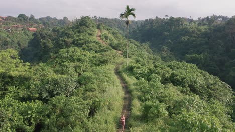 Atleta-Mujer-Rubia-En-Forma-Corriendo-Sesión-En-Campuhan-Ridge-En-Bali,-Naturaleza-Verde-Tropical,-Antena