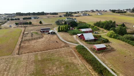 Aerial-view-of-a-classic-red-barn-with-a-horse-and-harvested-fields-nearby