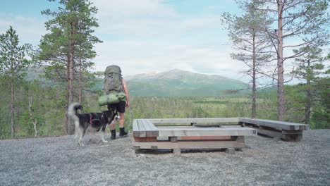 Man-And-Dog-Reached-The-Picnic-Site-In-Ånderdalen-National-Park-In-The-Island-of-Senja,-Norway-With-The-View-Of-The-Mountain-And-Fields