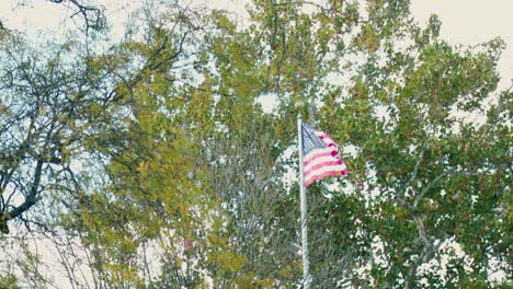 American-flag-blowing-in-the-wind-in-front-of-green-trees-and-a-cloudy-blue-sky