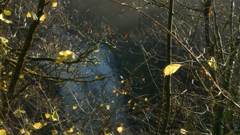Dramatischer-Wasserfall-Hinter-Herbstbäumen,-Während-Die-Kamera-Den-Fokus-Auf-Ein-Verbleibendes-Blatt-Auf-Ast-4k-Richtet