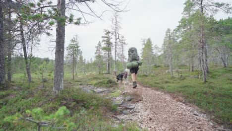 Joven-Excursionista-Con-Mochila-De-Camping-Y-Su-Mascota-Con-Correa-Caminando-Por-El-Parque-Nacional-Anderdalen,-Senja,-Noruega