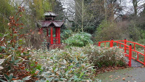A-Chinese-garden-in-winter-with-bushes,-trees,-flowers-and-a-red-bridge-and-traditional-building