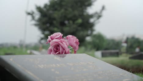 Flowers-on-gravestone.-Handheld,-shallow-focus