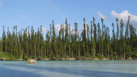 Säulenkiefern-Säumen-Den-Malerischen-Natürlichen-Pool-In-Der-Oro-Bay,-Isle-Of-Pines