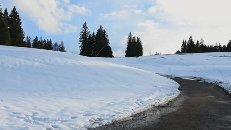 Vista-Panorámica-De-La-Colina-Cubierta-De-Nieve-Con-Ruta-De-Senderismo-En-La-Selva-Negra,-Alemania