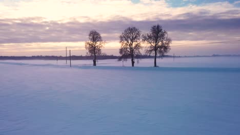 Three-trees-in-beautiful-snow-covered-winter-landscape-sunrise-aerial-pull-back-view