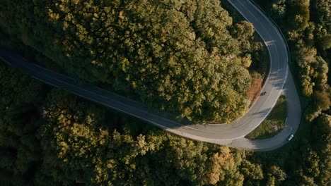 Aerial-view-of-a-winding-road-through-an-autumn-forest,-motorcycle-taking-a-sharp-turn