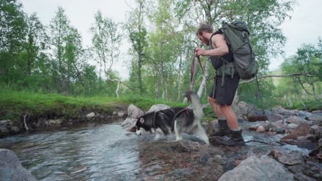 Young-Male-Hiker-Crossing-The-River-With-Alaskan-Malamute-On-Leash-In-The-River
