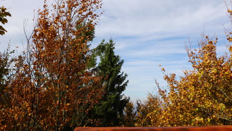 Blick-Auf-Baumwipfel,-Die-Sich-Bei-Starkem-Wind-Von-Einer-Seite-Zur-Anderen-Bewegen,-Und-Die-Holzkonstruktion-Eines-Aussichtspunkts,-Der-An-Einem-Sonnigen-Herbsttag-Auf-Baumstämme-Trifft,-Aufgenommen-Im-Beskiden-Gebiet-4k-60fps
