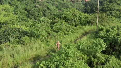 Active-endurance-female-athlete-running-on-nature-trail-in-Bali,-Campuhan-Ridge,-aerial