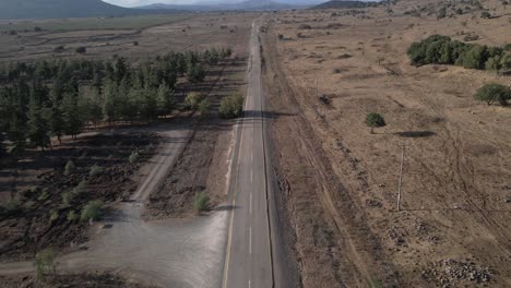 Aerial-shot-of-empty-street-with-tree-and-landscape-in-the-side-of-road-at-Israel,-Golan-Heights