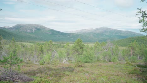 Vista-Deslizante-Del-Parque-Nacional-Anderdalen-Y-Las-Montañas-Segla-En-La-Isla-Senja,-Noruega