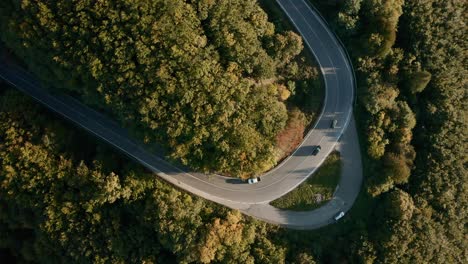 Aerial-drone-point-of-view-of-winding-road-through-an-autumn-forest,-multiple-cars-are-taking-a-sharp-turn