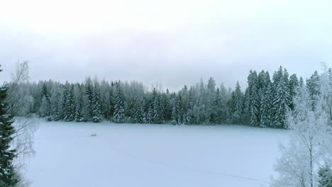 Ascend-above-cloudscape-in-winter-forest-landscape,-transition-shot