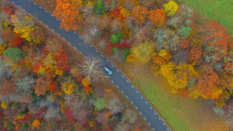 Top-down-tracking-shot-of-a-car-driving-in-contryside-road-through-an-autumnal-pine-forest-in-Sweden