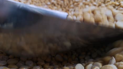 Close-up-of-scooping-from-a-bulk-bin-of-dried-split-chickpea-legumes