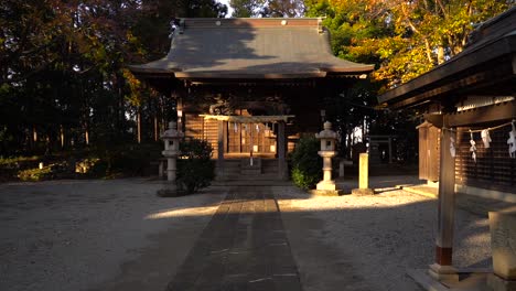 Tokio,-Japón---Un-Templo-Sagrado-Hecho-De-Madera-Capturado-Al-Amanecer---Toma-De-Empuje