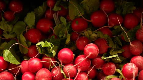 A-heap-of-fresh-organic-radishes-at-the-farmer's-market---isolated-close-up-sliding-view