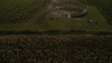 Aerial-drone-reveal-shot-flying-low-over-backlit-vineyards-and-close-to-a-spiral-shaped-sightseeing-tower-in-Moravia,-Czech-Republic