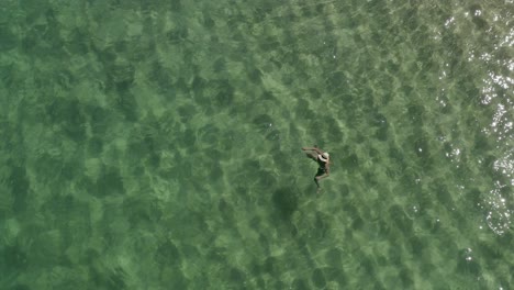 Static-Aerial-of-Female-With-Summer-Hat-Swimming-in-Clear-Sea-Water,-Top-Down-View-With-Copy-Space