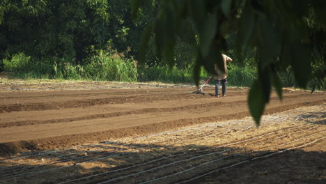 Farmer-plowing-a-furrow-with-a-rake,-wide-shot-of-a-countryman-in-the-middle-of-a-crop-land