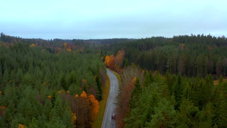 Aerial-view-Car-travel-on-Swedish-scenic-Forest-road,-Autumn-Season