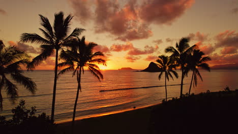 Langsame-Annäherung-Von-Drohnen-Hawaiianischer-Palmen-Bei-Sonnenaufgang