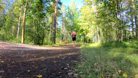Man-jogging-at-forest-area-during-sunny-summer-day