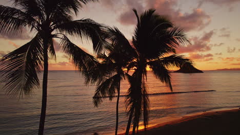 Wunderschönes-Luftvideo-Aus-Nächster-Nähe,-Das-Bei-Sonnenaufgang-Neben-Hawaiianischen-Palmen-Fliegt